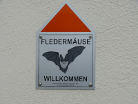 Fledermaeuse